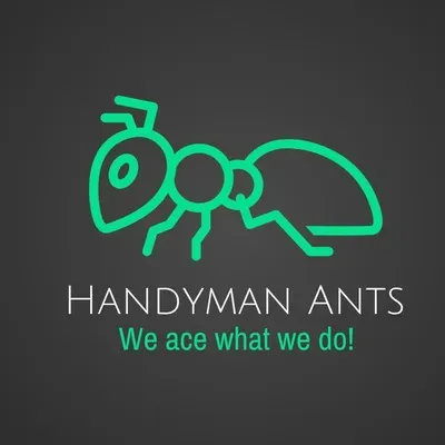 Handyman Ants