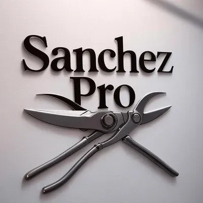 Sanchez Pro LLC