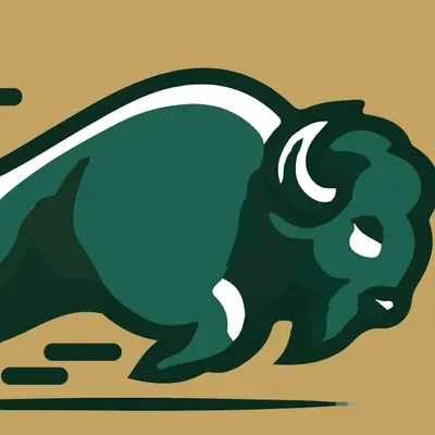 Buffalo Run Tax & Financial