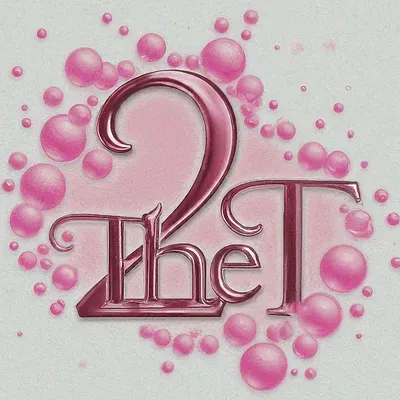 2 THE T CLEANING LLC