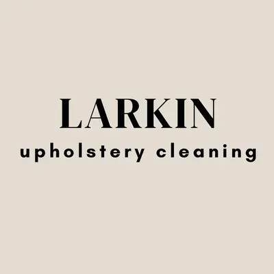 LARKIN Upholstery Cleaning