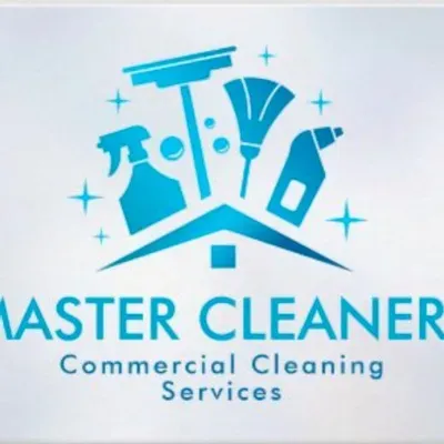 MASTER CLEANERS LLC