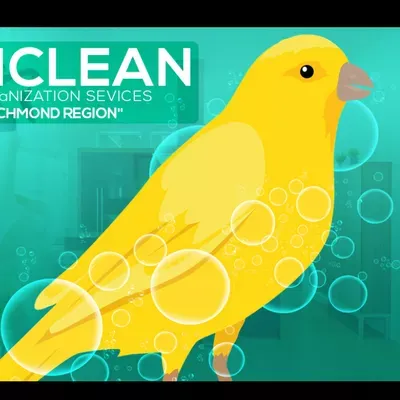 CanariClean LLC