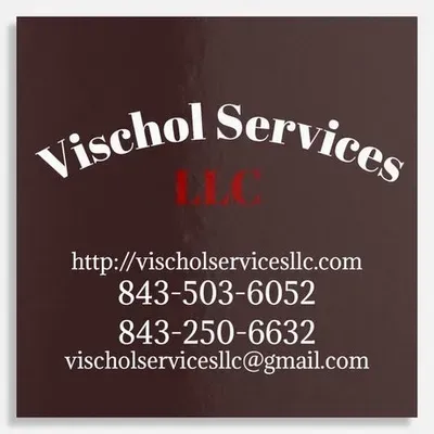 Vischol Services LLC