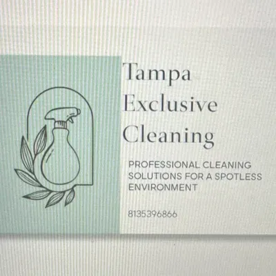 Tampa exclusive cleaning