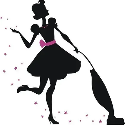 StarrDust Cleaning Services