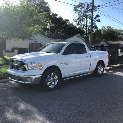 Clean Cut of Tampa Bay