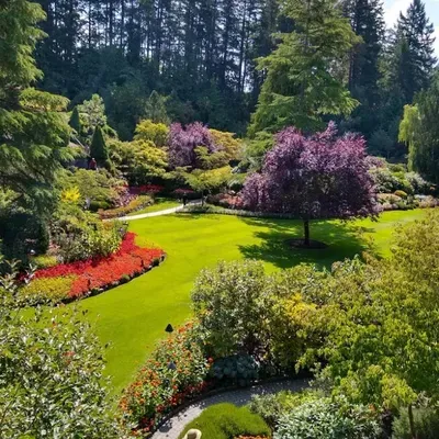 Paradise Lawn Care