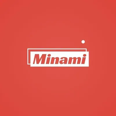Minami LLC