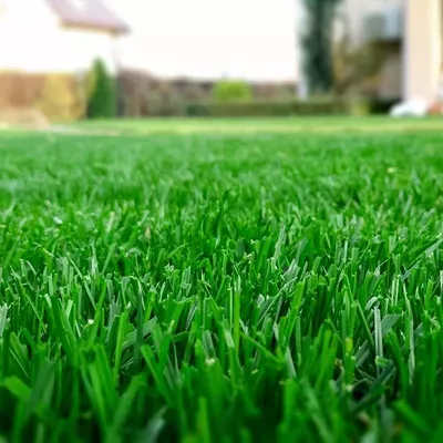 The Green Machine  Lawn Team