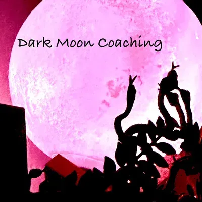 Dark Moon Coaching LLC