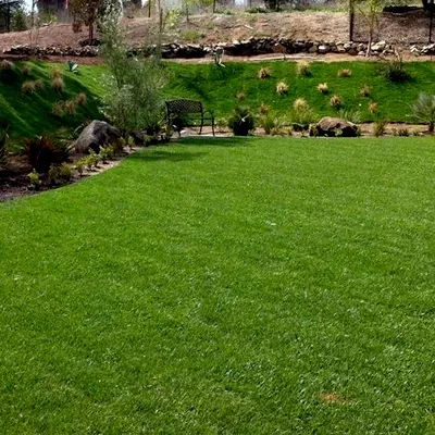 Lawns of OKC