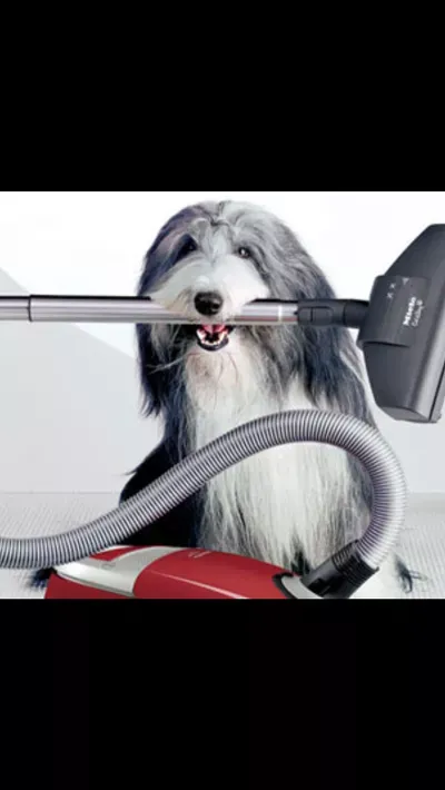 Thompson and Thompson cleaning