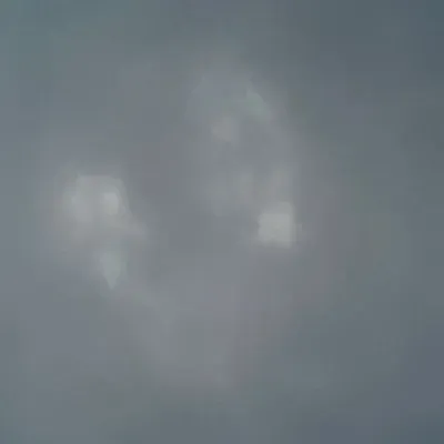 Mo