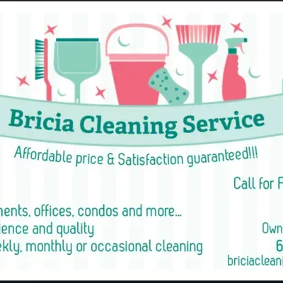 Bricia Cleaning Services