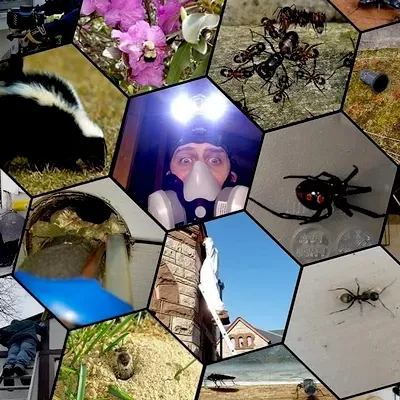 Bee Smart Pest Control LLC