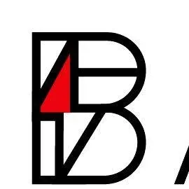 Babinov Electric LLC