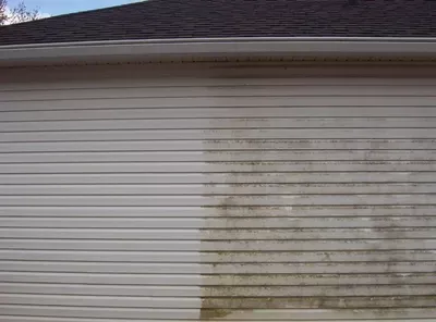 Jarman's pressure washing/Jarman’s pest control