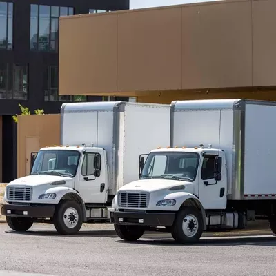 TM Movers and Bulk Removal