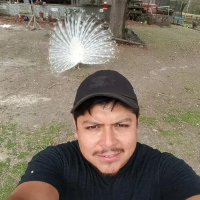 HV PROFESSIONAL HANDYMAN LLC