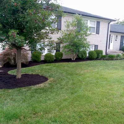 Waynes' Custom Landscapes