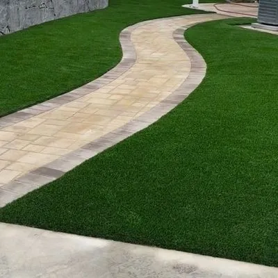 Grass monkey landscape and development
