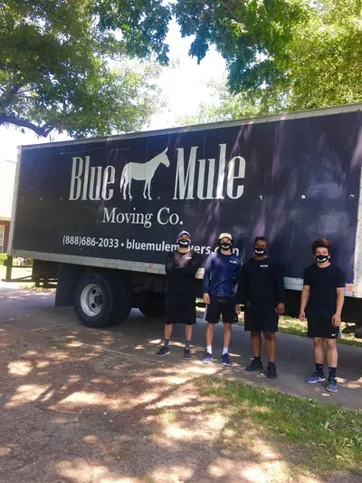 Blue Mule Movers