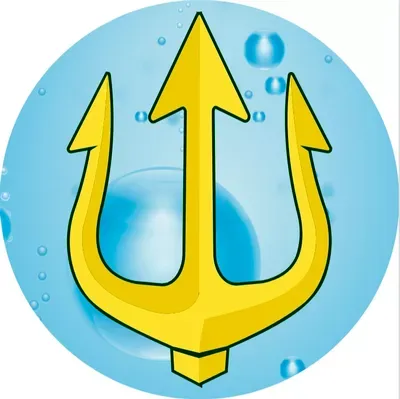 Trident Pro, LLC