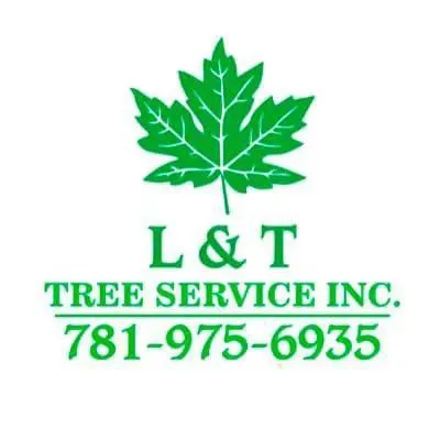 L&T TREE SERVICES INC