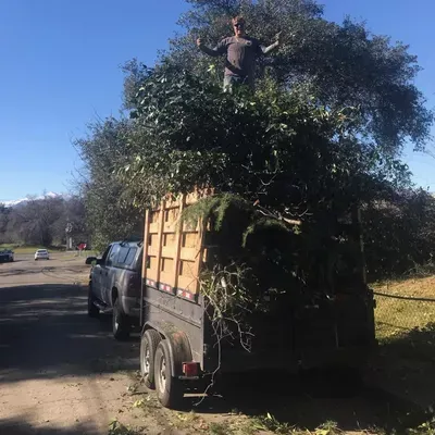 You Call We Haul