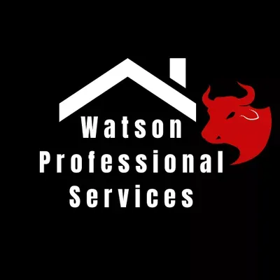 Watson Professional Services LLC