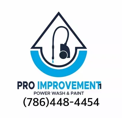 Pro improvement1