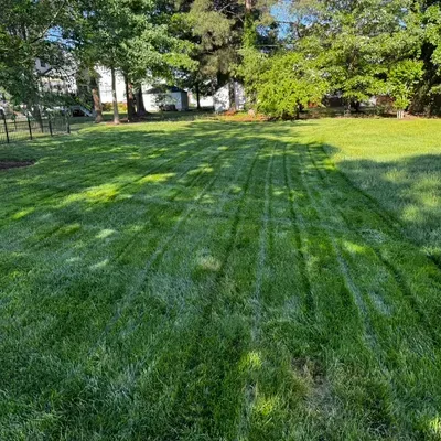 M&M&M Lawn Service