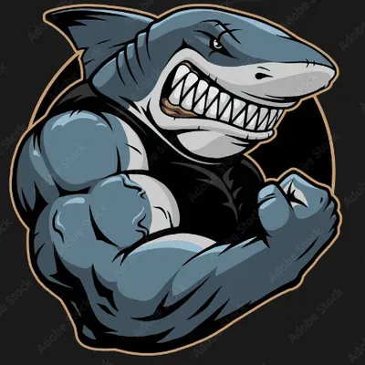 DRAIN SHARKS