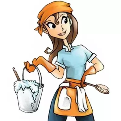 Cozy's Cleaners and Organizers LLC