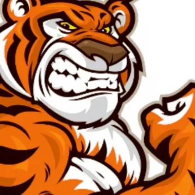 Tiger Tossers