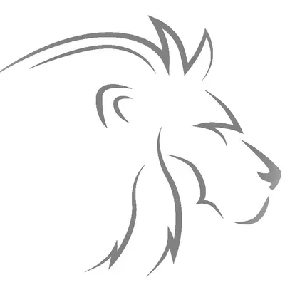 Lion Pro Services LLC
