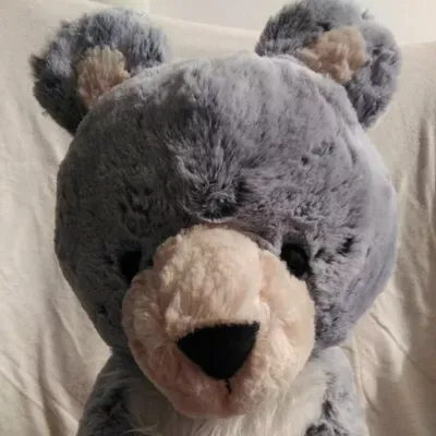 Blue Bear Recycling