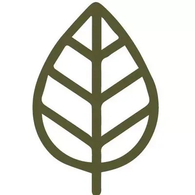The AD Leaf Marketing Firm