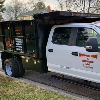 Professional Hauling And Demolition LLC