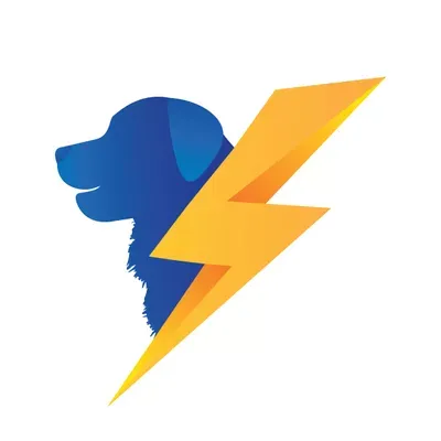 Big Dogs Electric LLC