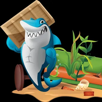 Santa Cruz Junk Removal & Home Services