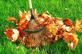 Oklahoma Lawncare Specialists