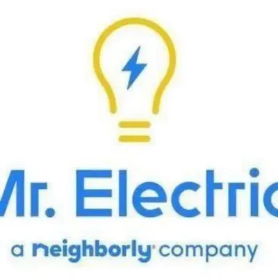 Mr. Electric