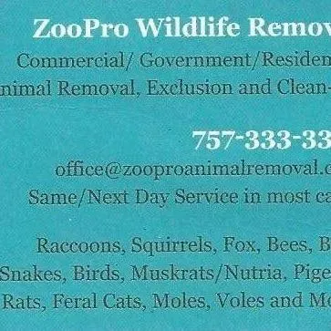 ZooPro Wildlife Removal