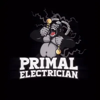 Primal Electric Co.