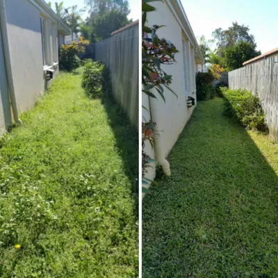 Wipe Out Exterior Cleaning Services LLC