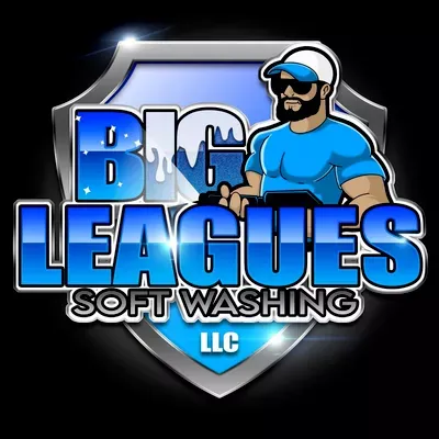 Big Leagues Soft Washing  LLC