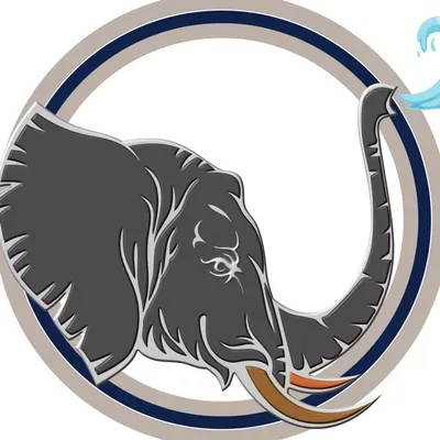 Blue Elephant Pressure Washing Inc.