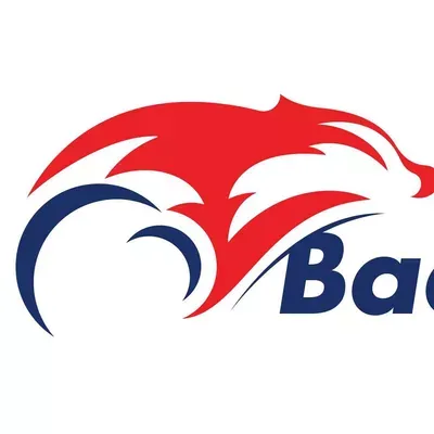 Marketing Badgers